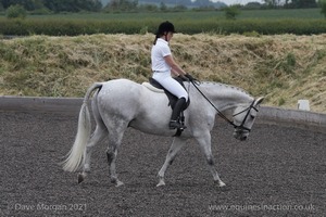 ISIS Dressage Challenge 2008